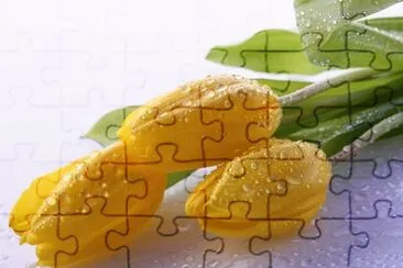 imagens jigsaw puzzle