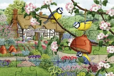 pÃ¡ssaro jigsaw puzzle