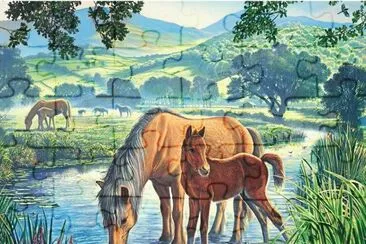 cavalos jigsaw puzzle