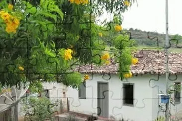 flor