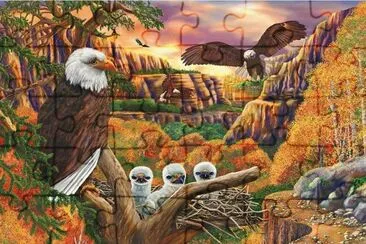gaviÃ£o jigsaw puzzle
