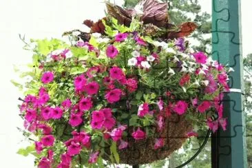 Flowers jigsaw puzzle