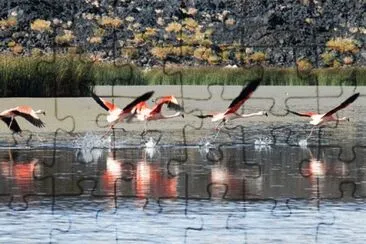 Laguna Diamante. Catamarca. Argentina jigsaw puzzle