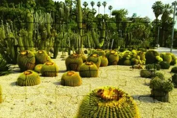 imagens jigsaw puzzle