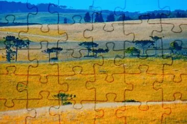 imagens jigsaw puzzle