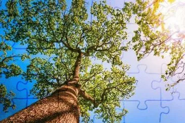 imagens jigsaw puzzle