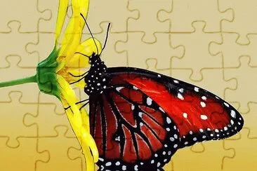 Butterfly on flower jigsaw puzzle