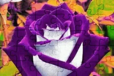 rosas1 jigsaw puzzle