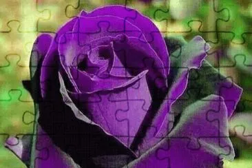 rosas2 jigsaw puzzle
