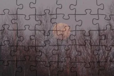 Full moon rising jigsaw puzzle