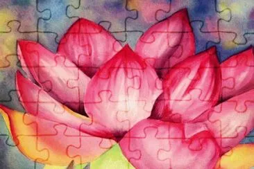 Lotus Flower