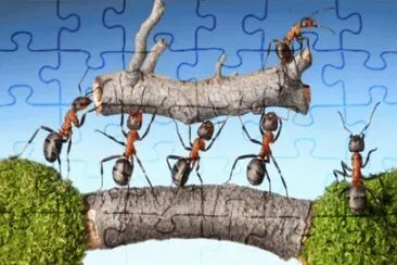 unidad jigsaw puzzle