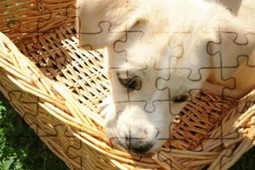 amoremio