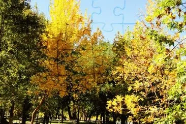 Isla NÂ° 58. RÃ­o Negro. Argentina jigsaw puzzle