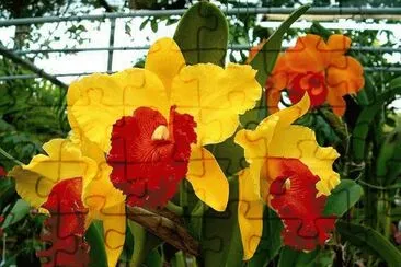 imagens jigsaw puzzle