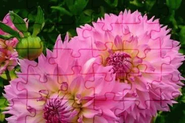 imagens jigsaw puzzle