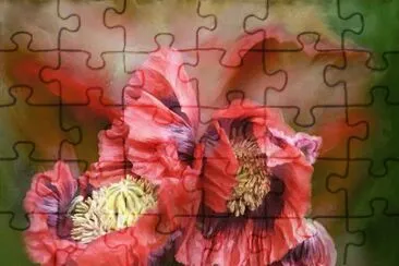 imagens jigsaw puzzle