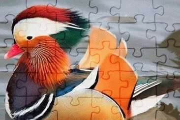 Mandarinand jigsaw puzzle