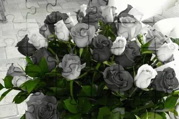 BLANCO Y NEGRO jigsaw puzzle
