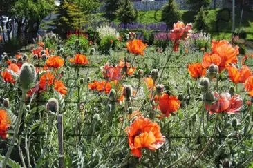 En Ushuaia. Tierra del Fuego. Argentina jigsaw puzzle