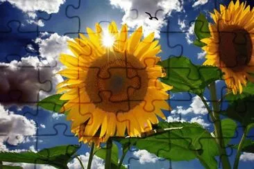 imagens jigsaw puzzle