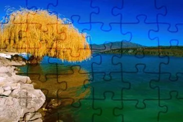 NATUREZA jigsaw puzzle