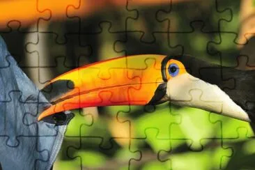 tucÃ¡n atrevido jigsaw puzzle