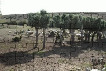 buscando sombra jigsaw puzzle