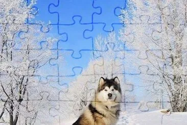 imagens jigsaw puzzle