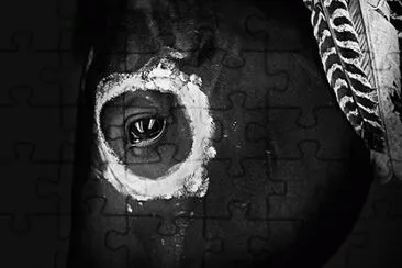 Cavalos 53 jigsaw puzzle