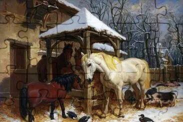 cavalos