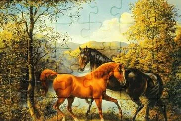 cavalos