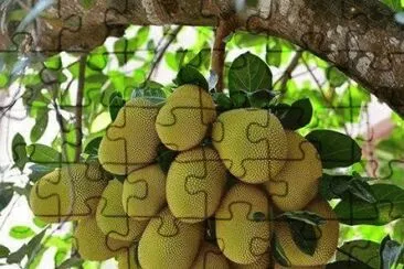 פאזל של imagens