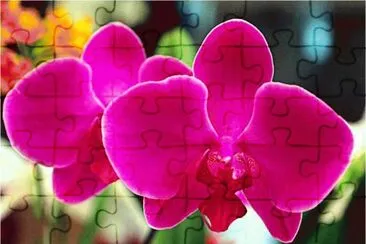 flower jigsaw puzzle