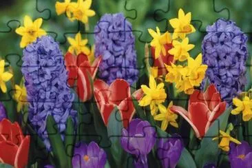 Beautiful Garden of Vibrant Flowers jigsaw puzzle