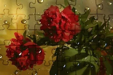  jigsaw puzzle