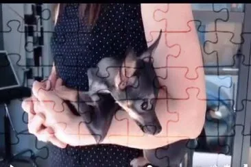 פאזל של memin pinguin
