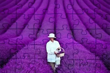 Woman in Beautiful Purple Field