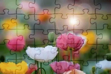 imagens jigsaw puzzle