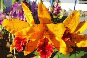 imagens jigsaw puzzle