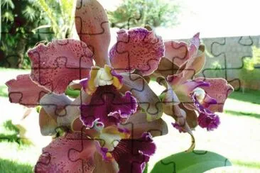 imagens jigsaw puzzle
