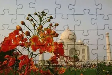 NATUREZA jigsaw puzzle