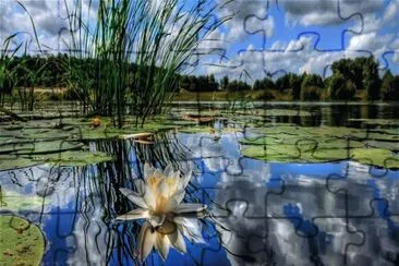 Landschaft jigsaw puzzle