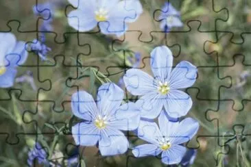 Blue Flowers jigsaw puzzle