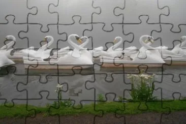 As paisagens mais bonitas do RS jigsaw puzzle
