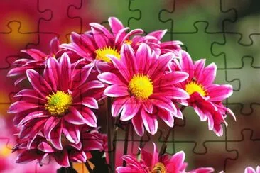 ........ jigsaw puzzle
