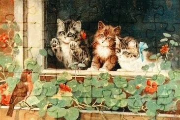 gatinhos jigsaw puzzle