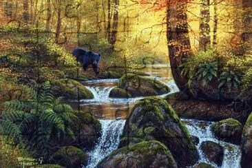 urso jigsaw puzzle
