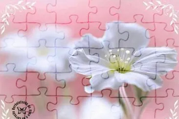 imagens jigsaw puzzle