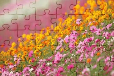 imagens jigsaw puzzle